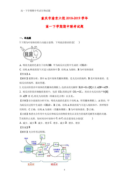 2018-2019学年重庆市渝东六校高一下学期期中联考生物试题(解析版)