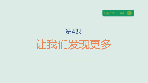 湘科版(2024)一年级科学上册1.4《让我们发现更多》课件(28张PPT)