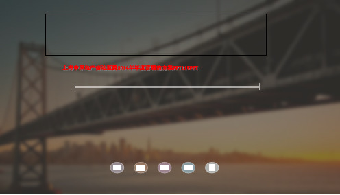 上海中原地产信达蓝爵2014年年度营销的方案PPT115PPT