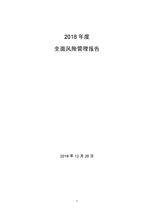 全面风险管理报告2018.12.26