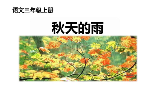 6.《秋天的雨》课件(共61张PPT)