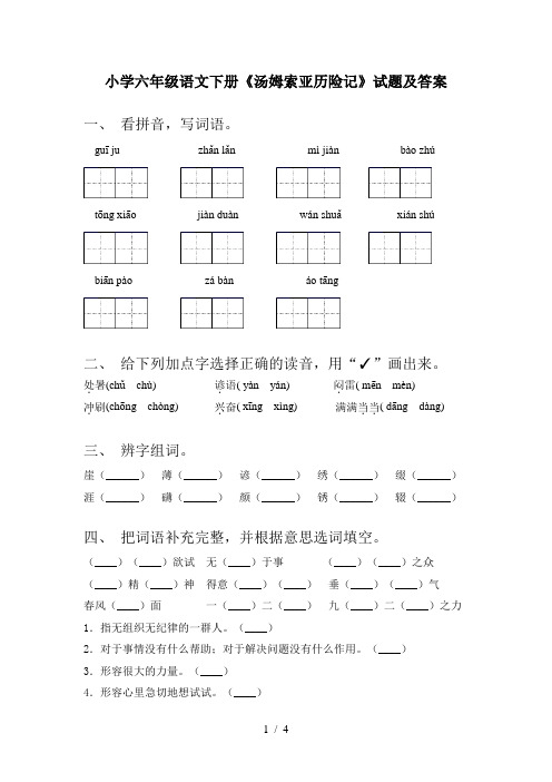 小学六年级语文下册《汤姆索亚历险记》试题及答案