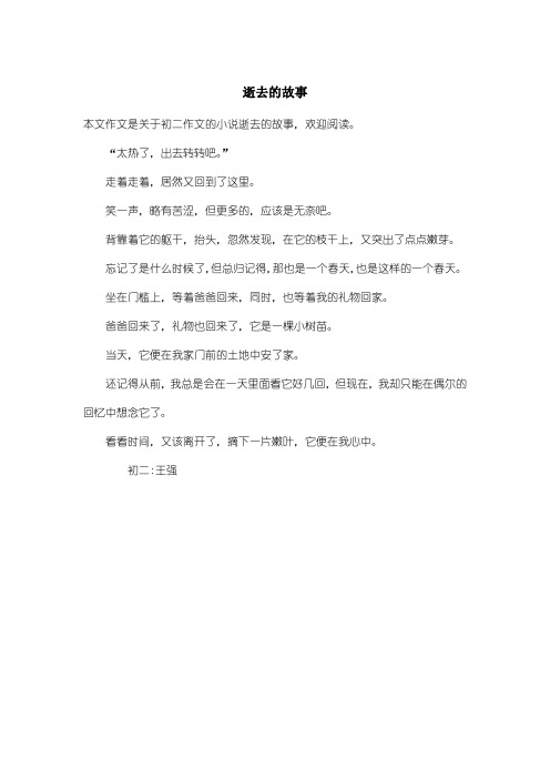 初中初二作文小说：逝去的故事