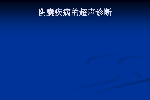 阴囊常见疾病的超声诊断