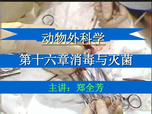 2011年辽宁高考数学试题及答案(文科)