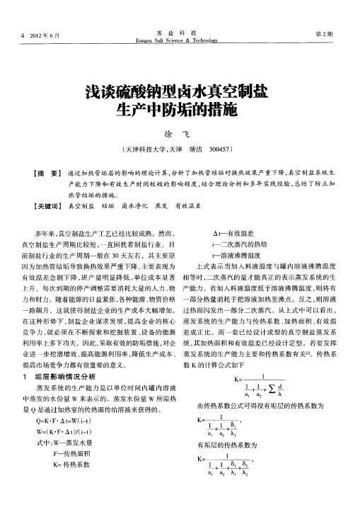 浅谈硫酸钠型卤水真空制盐生产中防垢的措施