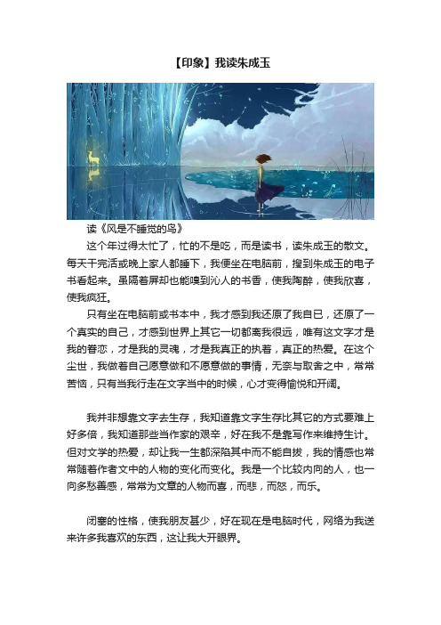 【印象】我读朱成玉