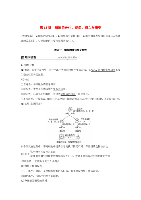 高考生物大一轮复习第四单元细胞的生命历程第13讲细胞的分化衰老凋亡与癌变讲义