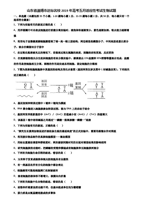 山东省淄博市达标名校2019年高考五月适应性考试生物试题含解析