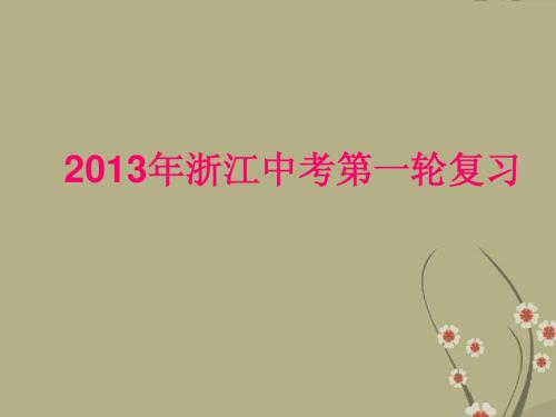 中考物理复习专题 第十二章 电能课件 浙教版