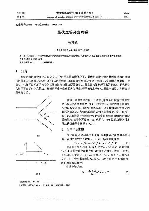 最优血管分支构造