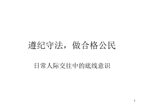 遵纪守法,做合格公民ppt课件