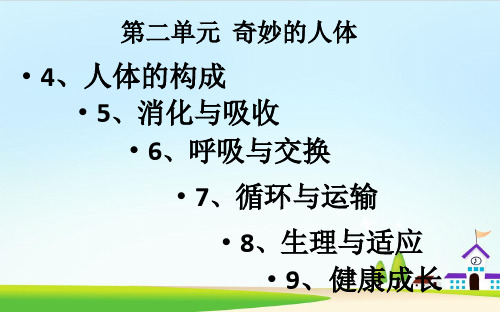 六年级下册科学第二单元《奇妙的人体》复习冀人版12张