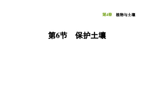 4.6保护土壤—浙教版八年级科学下册习题课件