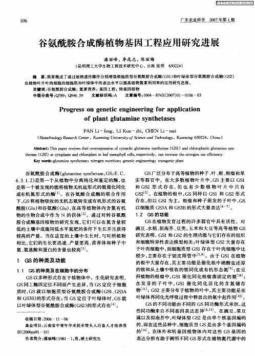 谷氨酰胺合成酶植物基因工程应用研究进展