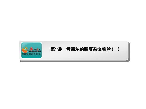 高考生物(人教版)一轮复习课件:孟德尔的豌豆杂交实验(一)