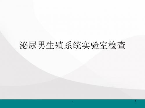 泌尿男生殖系统检查医学PPT课件