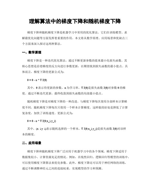 理解算法中的梯度下降和随机梯度下降