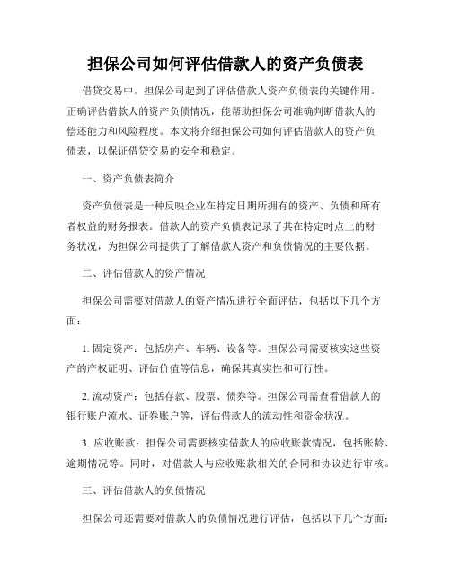 担保公司如何评估借款人的资产负债表