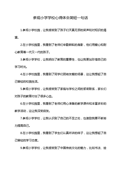 参观小学学校心得体会简短一句话