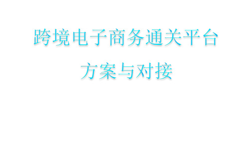 跨境电子商务通关平台方案与对接PPT课件