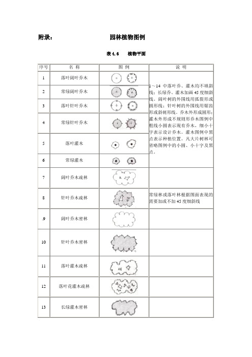 附录：园林植物图例