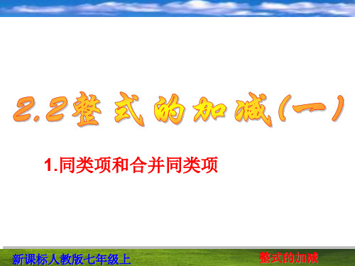 同类项,去括号,整式加减及整体思维的应用