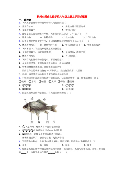 杭州市采荷实验学校八年级上册上学期试题题