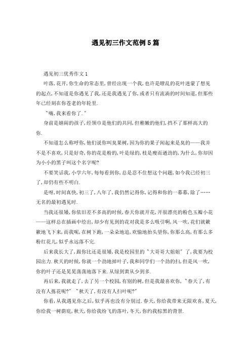 遇见初三作文范例5篇
