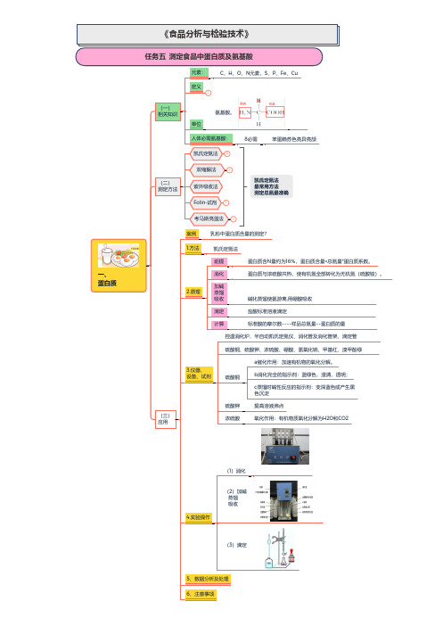 任务05 测定食品中蛋白质-思维导图