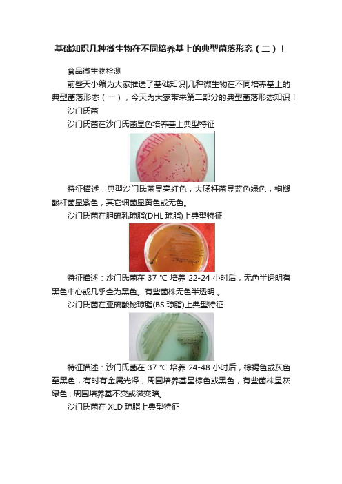 基础知识几种微生物在不同培养基上的典型菌落形态（二）！