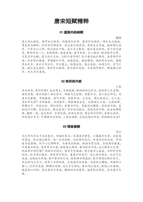 唐宋短赋精粹