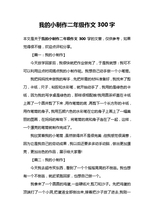 我的小制作二年级作文300字