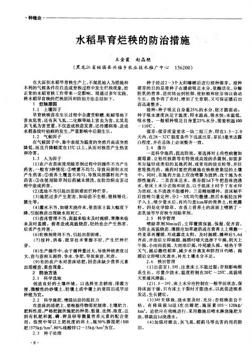 水稻旱育烂秧的防治措施