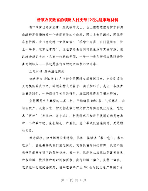 带领农民致富的领路人村支部书记先进事迹材料