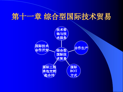 第十一章 综合型国际技术贸易