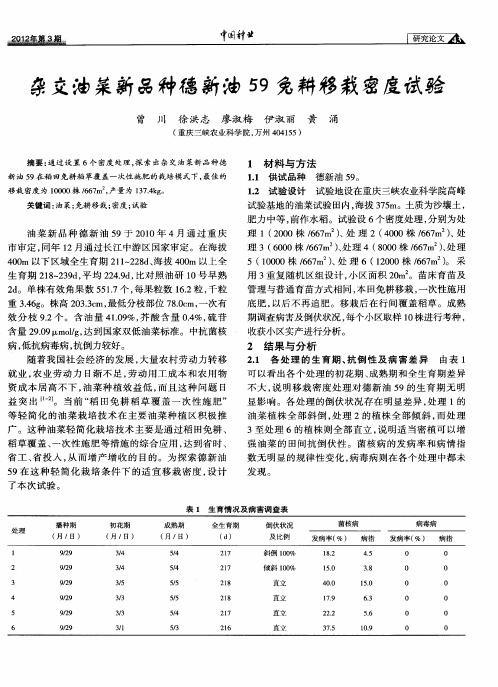 杂交油菜新品种德新油59免耕移栽密度试验