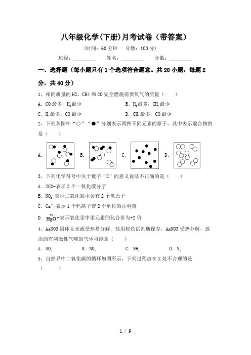 八年级化学(下册)月考试卷(带答案)