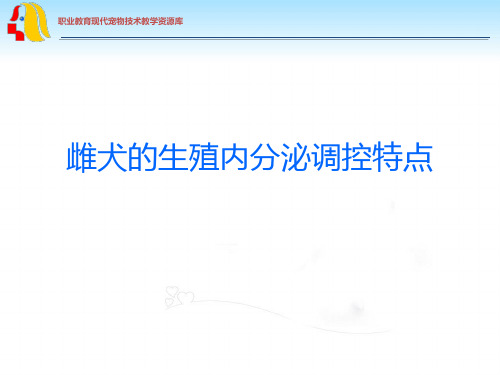 雌犬的生殖内分泌调控特点(精)