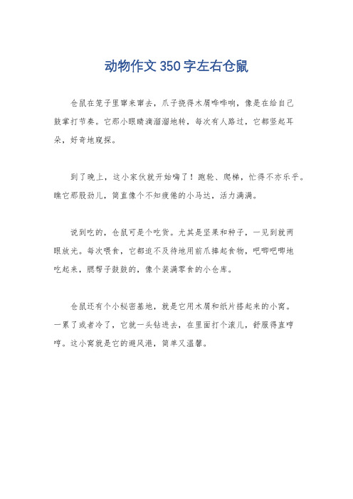 动物作文350字左右仓鼠