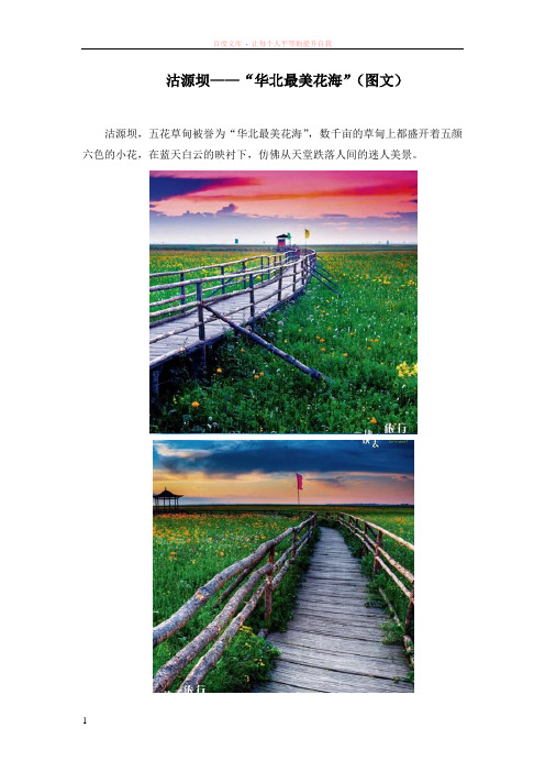 沽源坝——“华北最美花海”(图文)