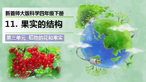 新首师大版科学四年级下册第三单元 植物的花和果实《果实的结构》优质课件