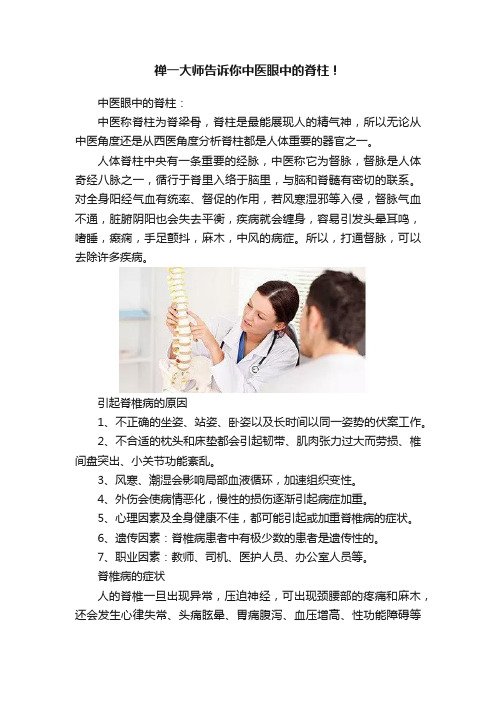 禅一大师告诉你中医眼中的脊柱！