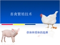 供体母畜的超数排卵处理