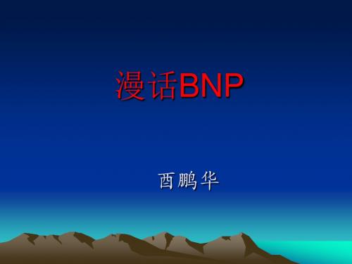 BNP (1)