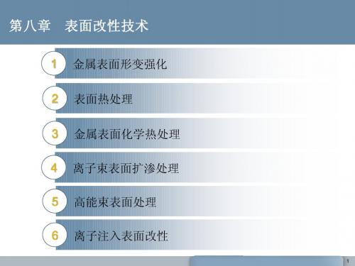 第八章 表面改性技术(表面形变强化 热处理 化学热处理 高能束表面改性技术)