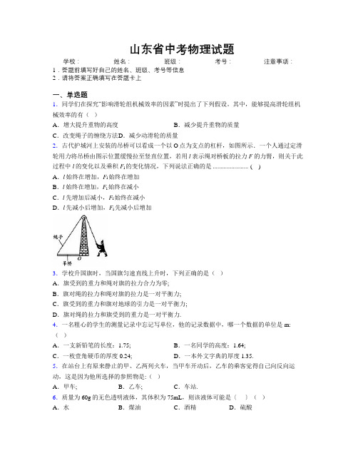 最新山东省中考物理试题附解析