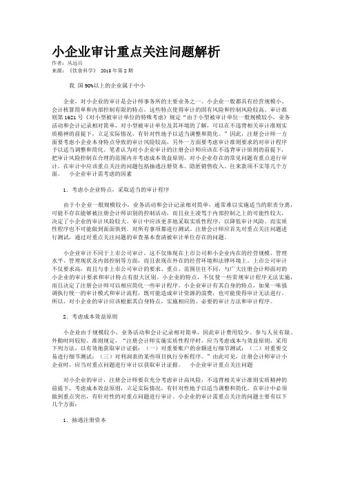 小企业审计重点关注问题解析