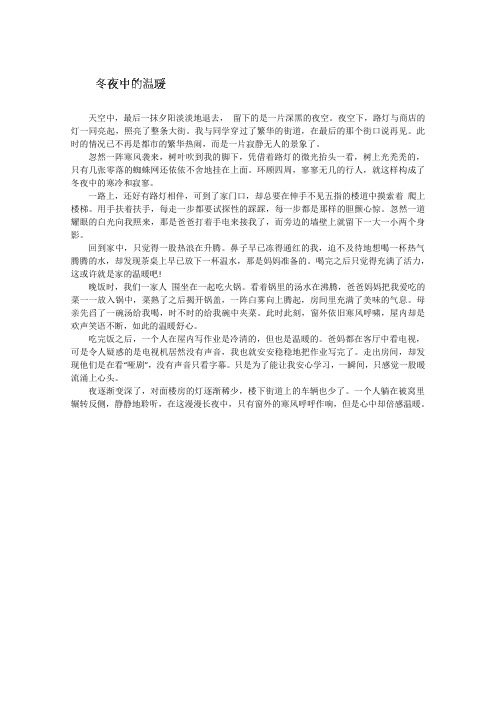 高三学生优秀作文:《冬夜中的温暖》