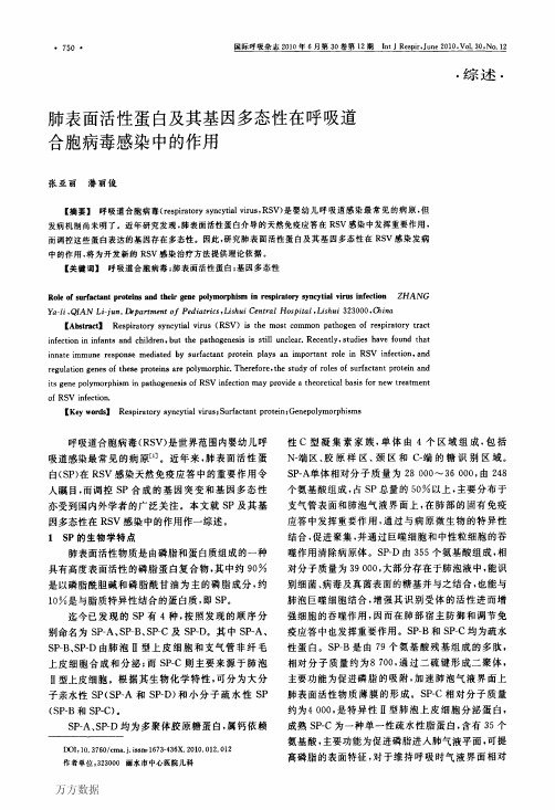 肺表面活性蛋白及其基因多态性在呼吸道合胞病毒感染中的作用